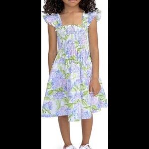 Tiny Ellie Nap Dress in Hydrangea - size 3/4